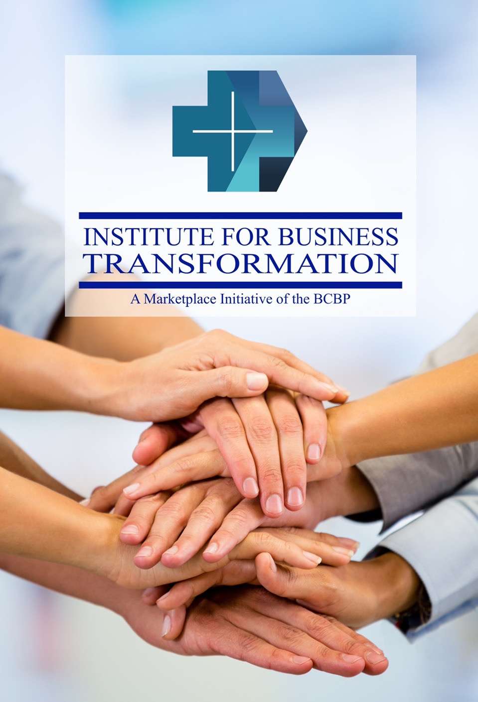 BCBP INSTITUTE FOR BUSINESS TRANSFORMATION BROCHURE